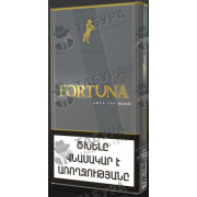 Fortuna SS Gray